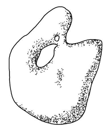 Виктор Зайцев - 33 предмета, которые принесут в дом деньги, здоровье, лад в...