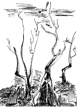 Лия Соколова - Рэйки. Ты не один. Опыт регрессии памяти