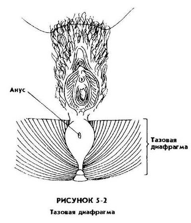 Мантэк Чиа, Мэниван Чиа - Совершенствование женской сексуальной энергии