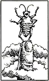 Аркадий и Борис Стругацкие - Сказка о Тройке (ил. И.Гончарука)