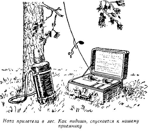 Владимир Немцов - Огненный шар