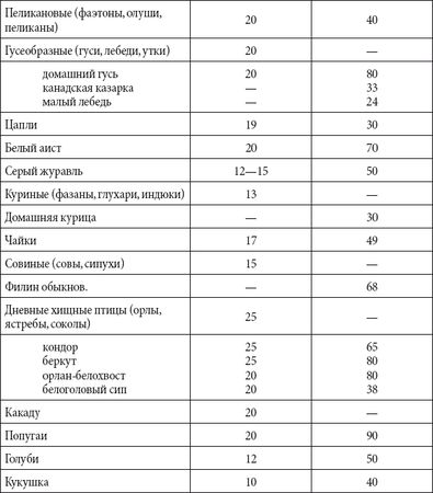 Андрей Чернявский, Дмитрий Ковальчук - Краткий справочник необходимых знаний