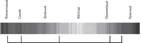 Леонард Сасскинд - Космический ландшафт