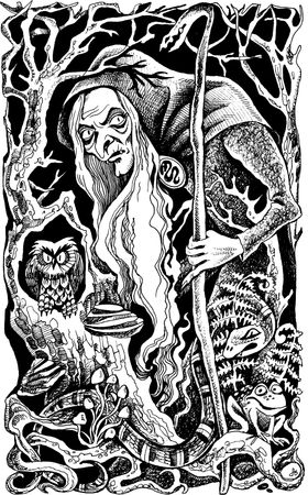 Всеволод Костров - Когда зацветёт папоротник