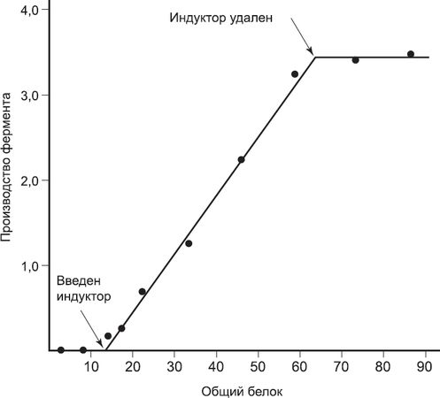 Шон Кэрролл - Закон "джунглей". В поисках формулы жизни