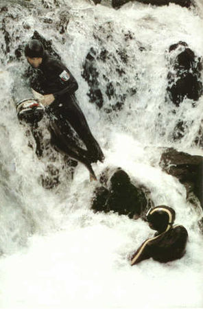 Жак-Ив Кусто, И. Паккале - Лососи, бобры, каланы