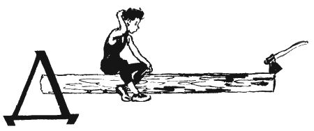 Валентин Рушкис - Повесть о славных делах Волли Крууса и его верных друзей