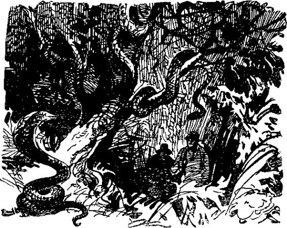 Игорь Росоховатский - Каким ты вернешься? Научно-фантастические повести и рассказы