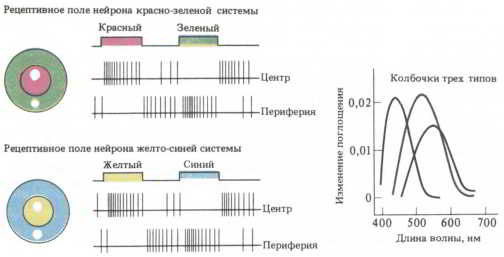 Флойд Блум, Арлайн Лейзерсон и др. - Мозг, разум и поведение