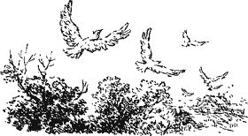 Юрий Крутогоров - Куда ведет Нептун