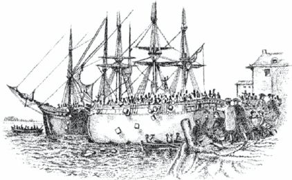 Дэниел Макинерни - США: История страны