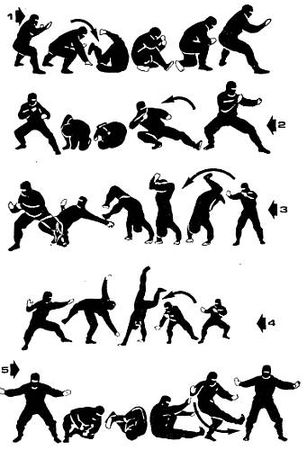 Анатолий Тарас - Воины-тени: Ниндзя и ниндзюцу