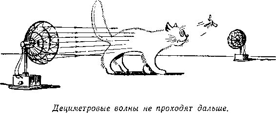 Владимир Немцов - Огненный шар