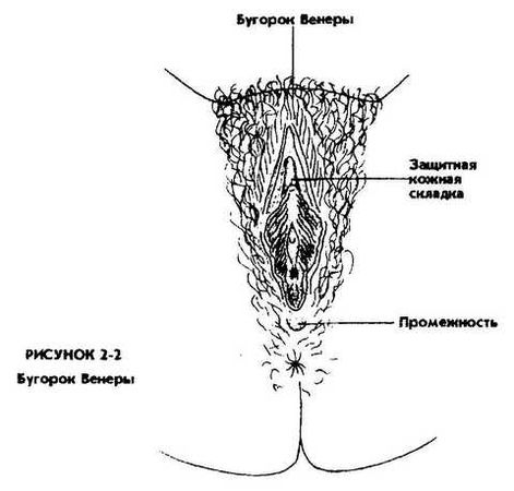 Мантэк Чиа, Мэниван Чиа - Совершенствование женской сексуальной энергии