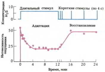Флойд Блум, Арлайн Лейзерсон и др. - Мозг, разум и поведение