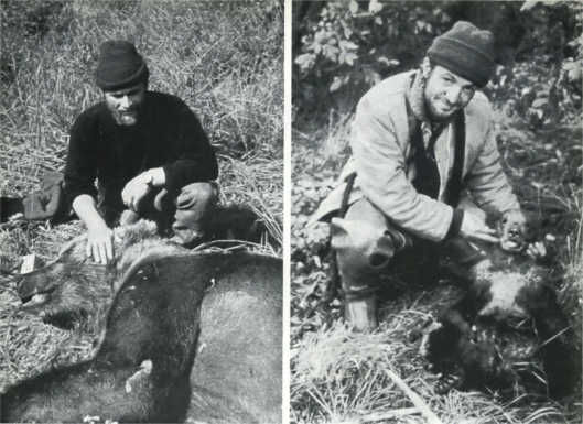 Жак-Ив Кусто, И. Паккале - Лососи, бобры, каланы