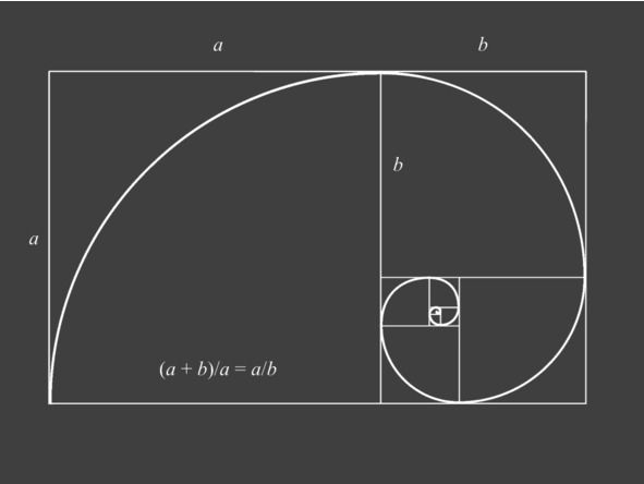 Андрей Зейгарник - Мифология композиции в фотографии
