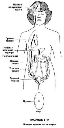 Мантэк Чиа, Мэниван Чиа - Совершенствование женской сексуальной энергии