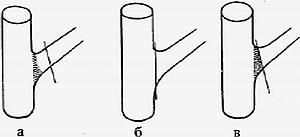 Формирование и обрезка плодового сада