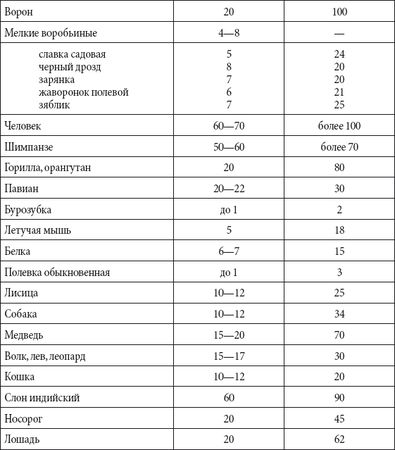 Андрей Чернявский, Дмитрий Ковальчук - Краткий справочник необходимых знаний