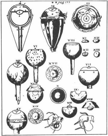 Флойд Блум, Арлайн Лейзерсон и др. - Мозг, разум и поведение