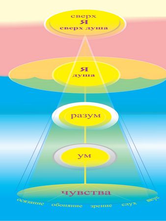 Александр Хакимов - Уровни сознания. Структура человеческой личности. Размышления