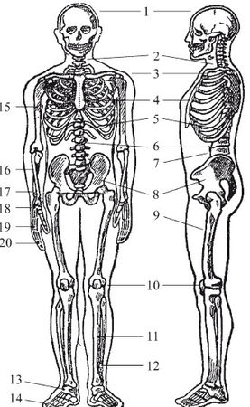 Андрей Чернявский, Дмитрий Ковальчук - Краткий справочник необходимых знаний