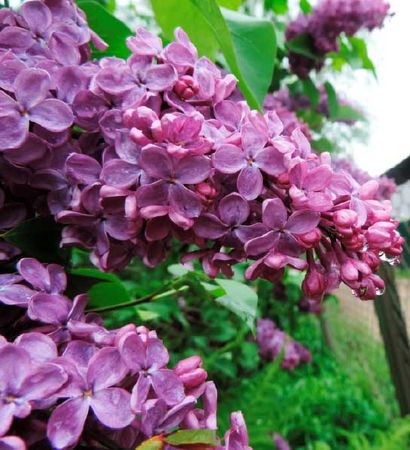 Валентина Ива - За миг до откровения