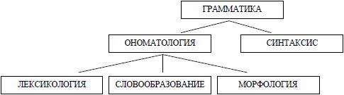 Введение в языкознание: курс лекций