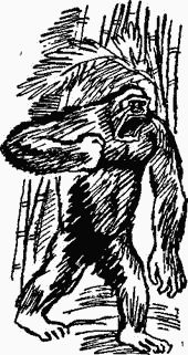 Игорь Акимушкин - Следы невиданных зверей