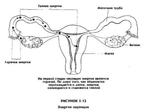 Мантэк Чиа, Мэниван Чиа - Совершенствование женской сексуальной энергии