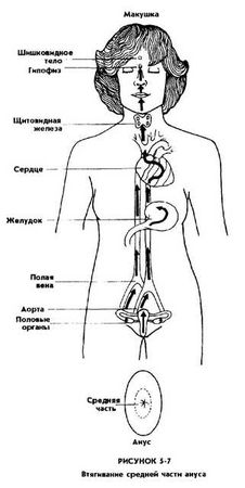 Мантэк Чиа, Мэниван Чиа - Совершенствование женской сексуальной энергии