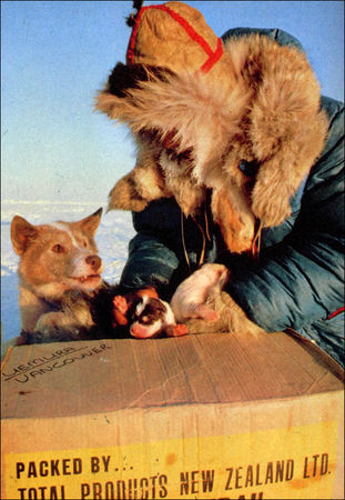 Наоми Уэмура - Один на один с Севером