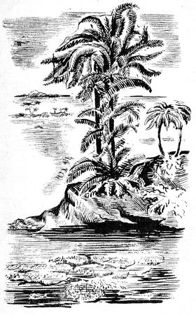 Николай Плавильщиков - Бронтозавр