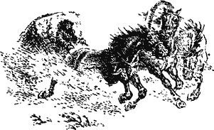 Юрий Крутогоров - Куда ведет Нептун