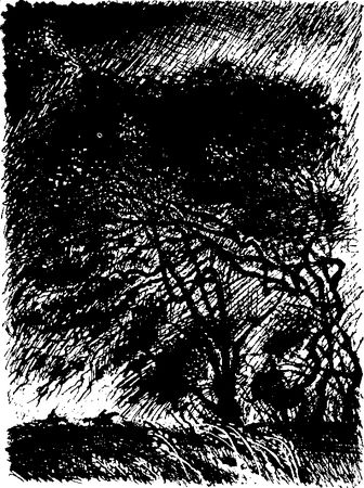 Александр Плетнев - Когда улетают журавли