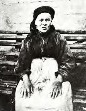 Иван Истомин - Первые ласточки