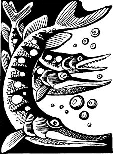 Всеволод Костров - Когда зацветёт папоротник