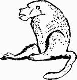 Игорь Акимушкин - Следы невиданных зверей