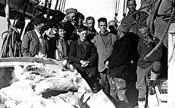 Шон Кэрролл - Закон "джунглей". В поисках формулы жизни