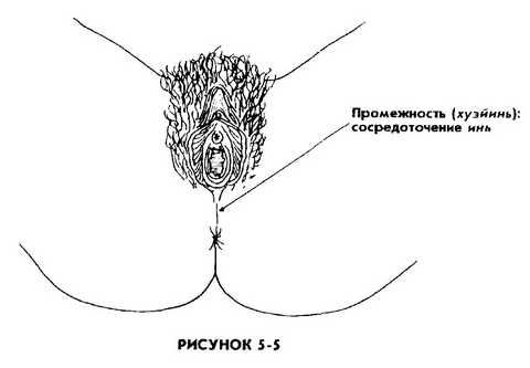 Мантэк Чиа, Мэниван Чиа - Совершенствование женской сексуальной энергии