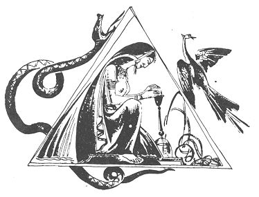 Бонкимчондро Чоттопаддхай - Радж Сингх