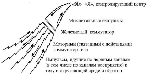 Лафайет Хаббард - Настольная книга для Преклиров