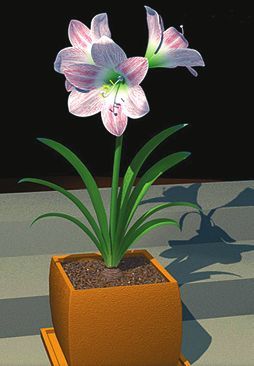 Татьяна Дорошенко - Целебные растения