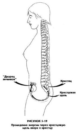 Мантэк Чиа, Мэниван Чиа - Совершенствование женской сексуальной энергии