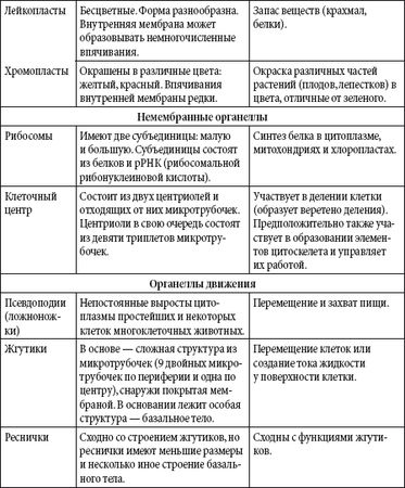 Андрей Чернявский, Дмитрий Ковальчук - Краткий справочник необходимых знаний