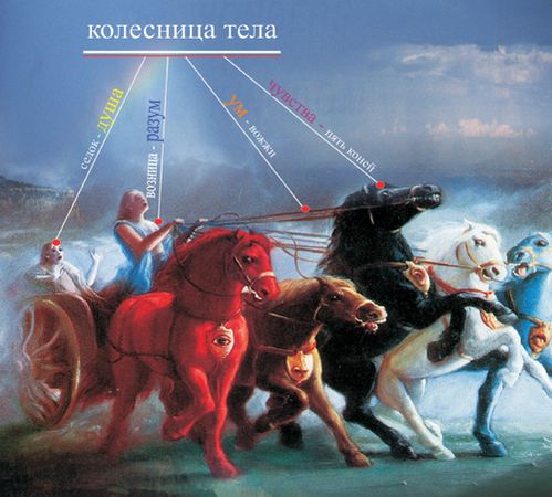 Александр Хакимов - Уровни сознания. Структура человеческой личности. Размышления