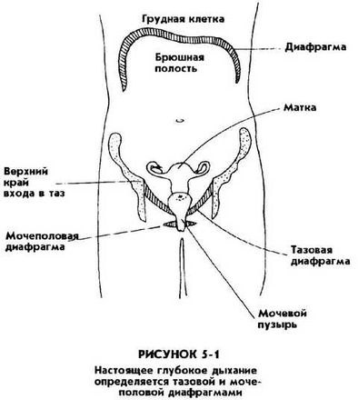 Мантэк Чиа, Мэниван Чиа - Совершенствование женской сексуальной энергии