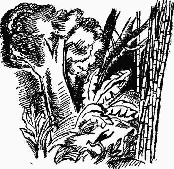 Игорь Акимушкин - Следы невиданных зверей