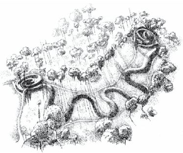 Дэниел Макинерни - США: История страны